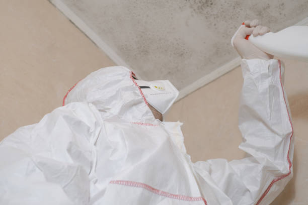 Attic Mold Removal in Mays Chapel, MD