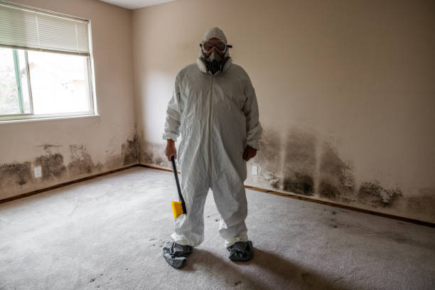 Mold Removal Process in Mays Chapel, MD